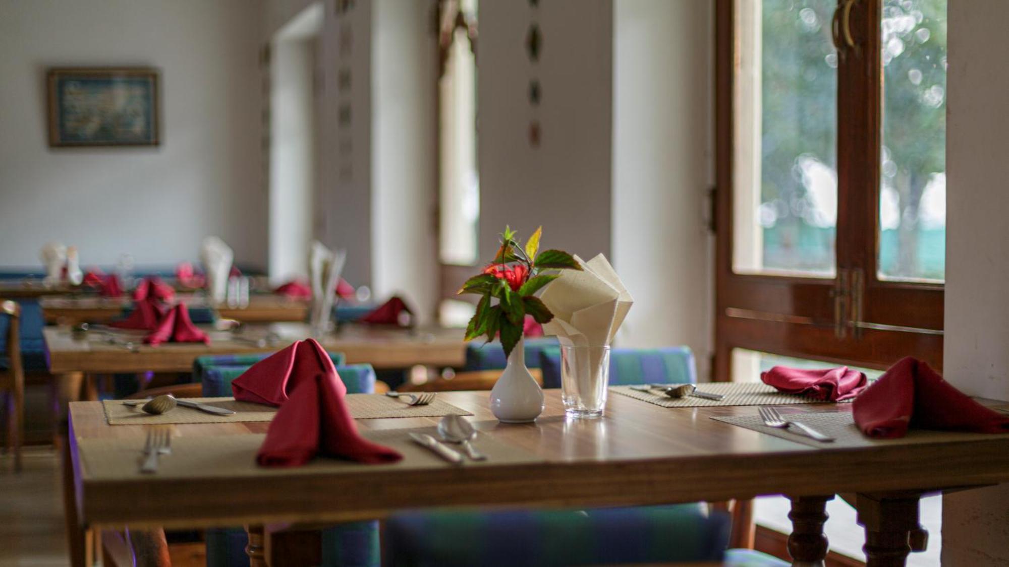 The Chitvan Resort Adźmer Zewnętrze zdjęcie